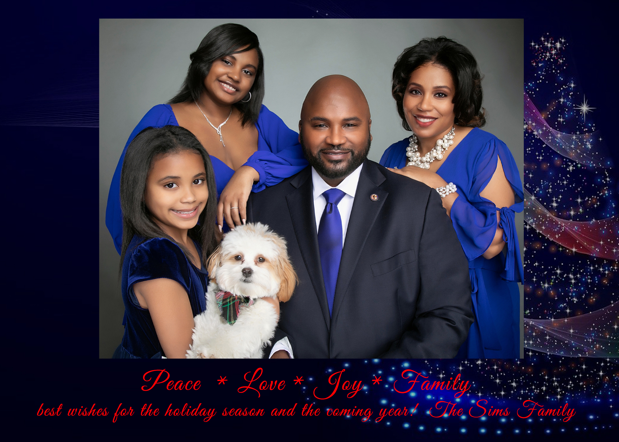 2020 Sims Holiday card